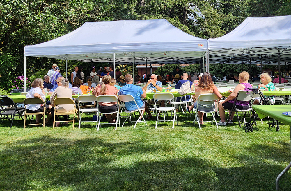Several people sitting at a long table in a grassy location on a sunny day having a picnic.